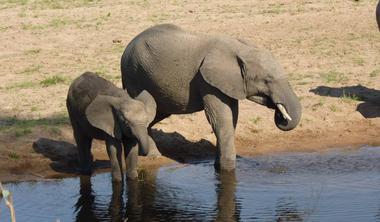 Ecotour in Tanzania con i ricercatori del Muse