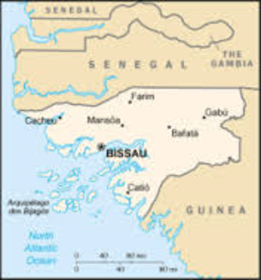 Fratellanza e Solidarietà e la Guinea Bissau