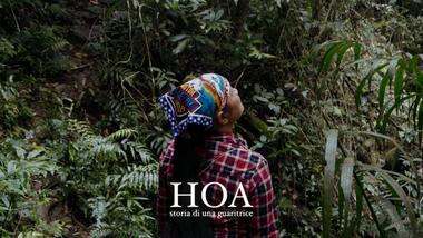 Hoa, storia di una guaritrice