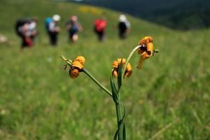 Trekking Peaks of the Balkans: Kosovo-Montenegro-Albania